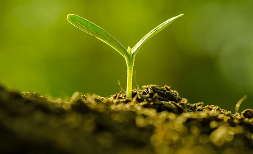 為避免誤導(dǎo)用戶，便攜式土壤水分速測儀使用需注意