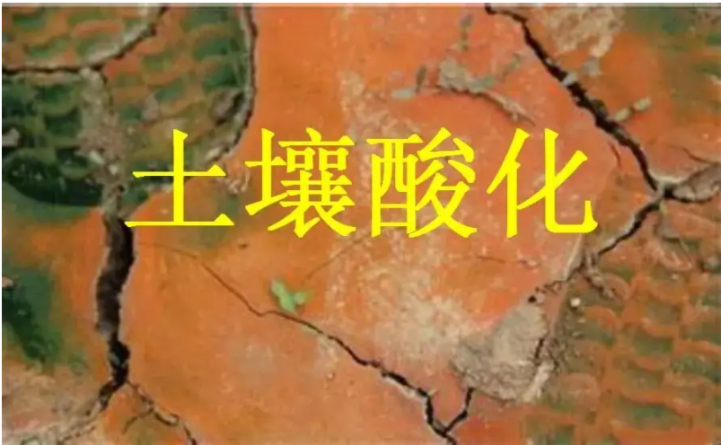 識別土壤“病”，土壤測試儀器是如何提高土壤免疫力的？