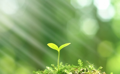 推廣測(cè)土配方施肥技術(shù)的有哪些好處？
